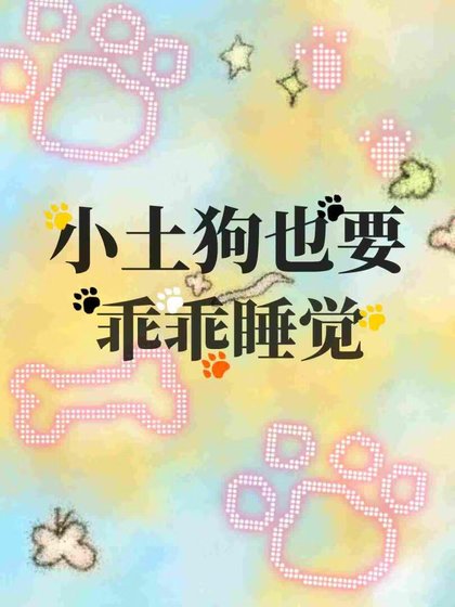 小土狗也要乖乖睡覺